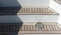 TARANI -  Steps